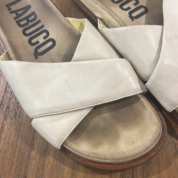 LABUCQ Slides - Picture 4 of 5